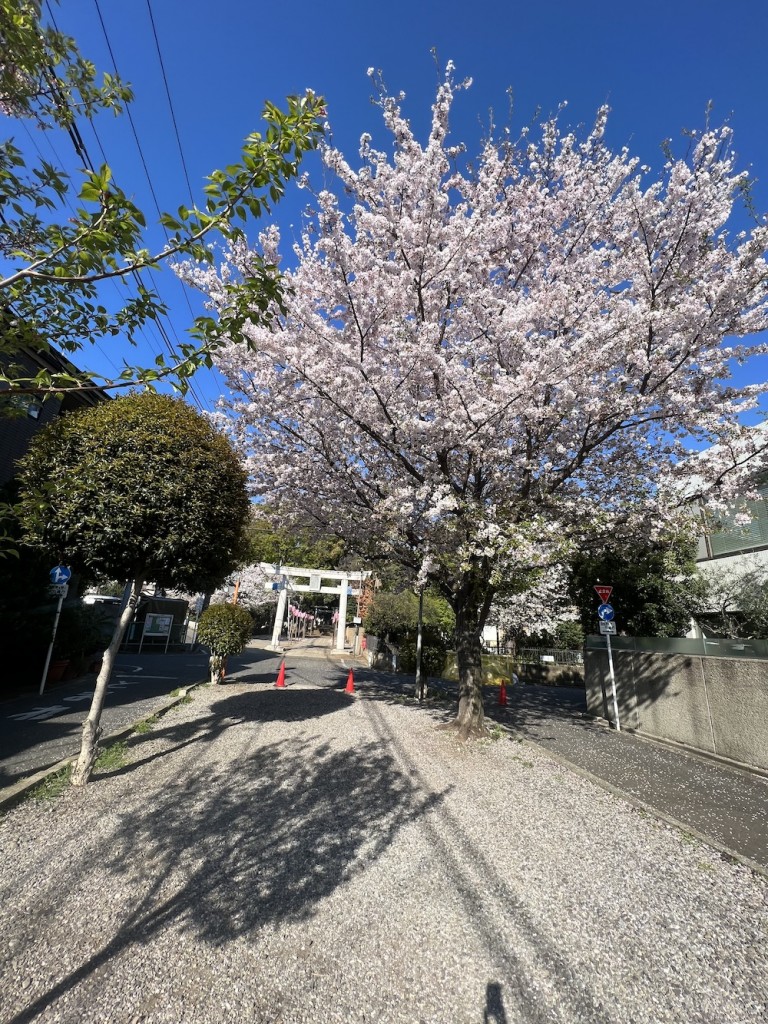IMG_9610